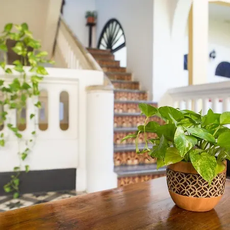 El Claustro House Cartagena