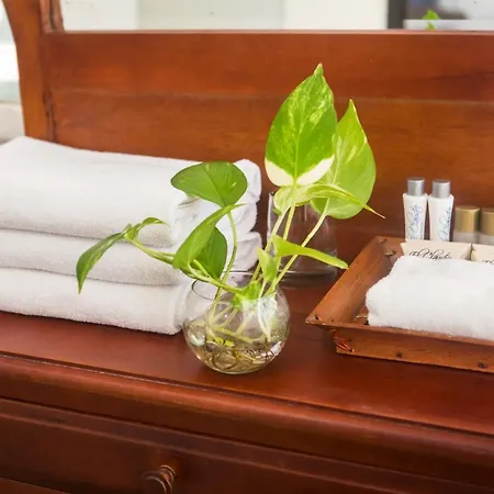 El Claustro House Hotel
